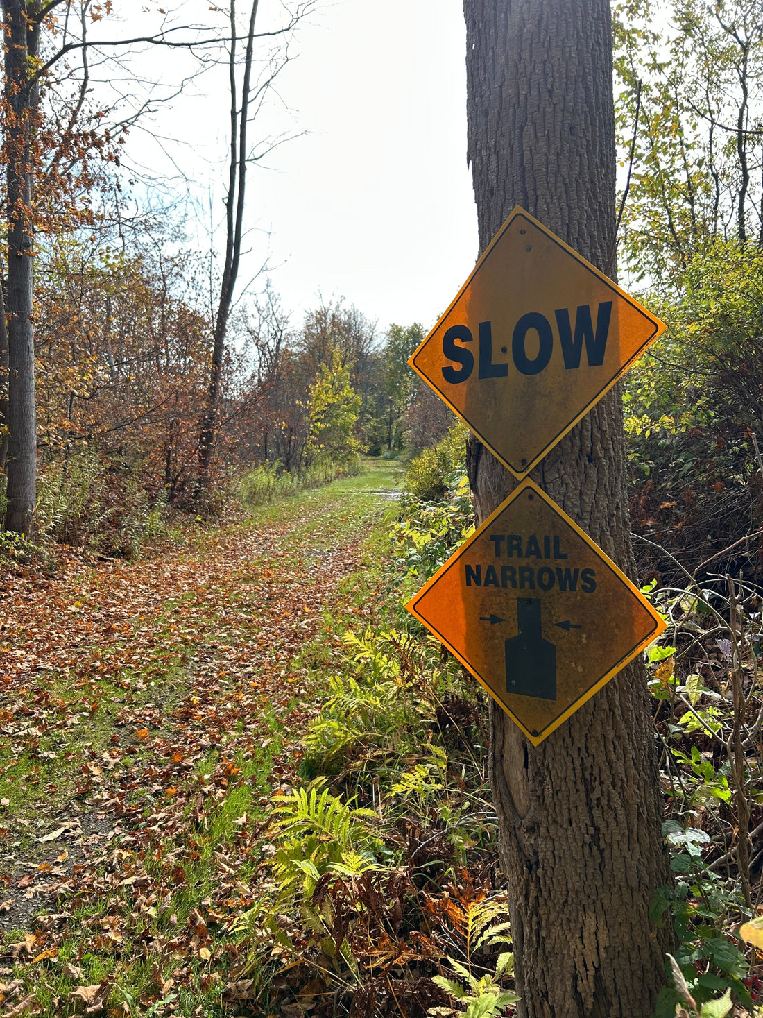 The Unspoken Code: Essential Trail Etiquette for Runners