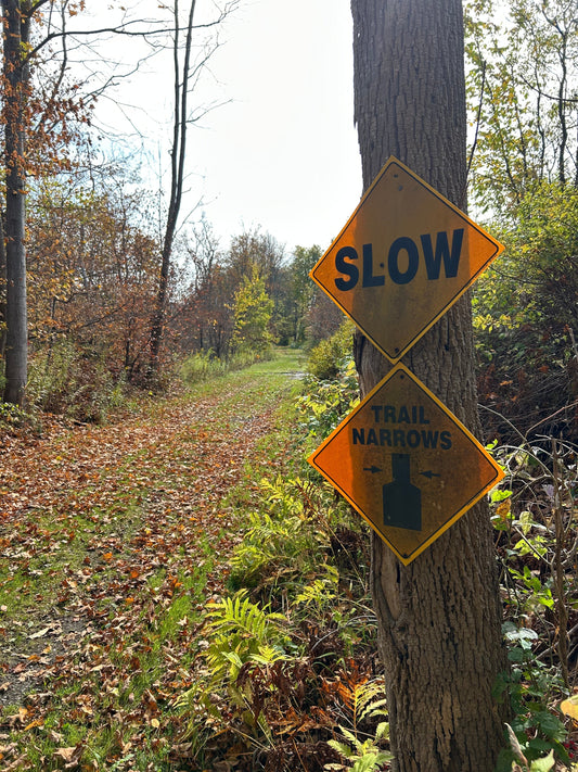 The Unspoken Code: Essential Trail Etiquette for Runners