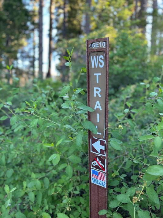 Inside Duncan Canyon: A Western States 100 Recap